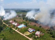 Kebakaran Hutan dan Lahan 2026 Ancam Target FOLU Net Sink Indonesia