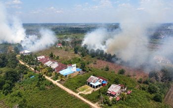 Kebakaran Hutan dan Lahan 2026 Ancam Target FOLU Net Sink Indonesia