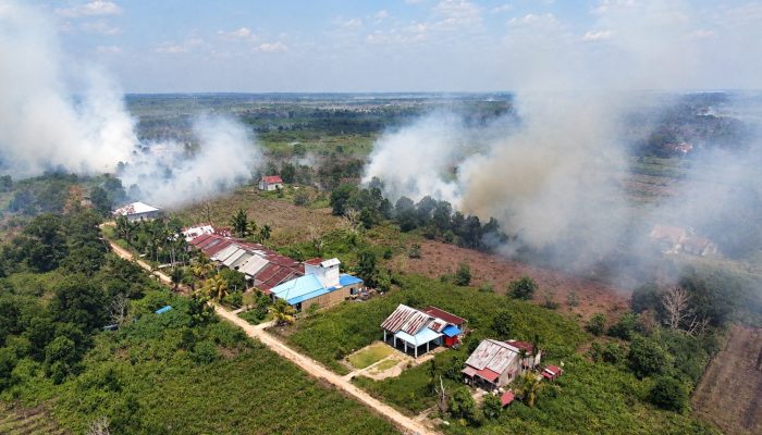 Kebakaran Hutan dan Lahan 2026 Ancam Target FOLU Net Sink Indonesia