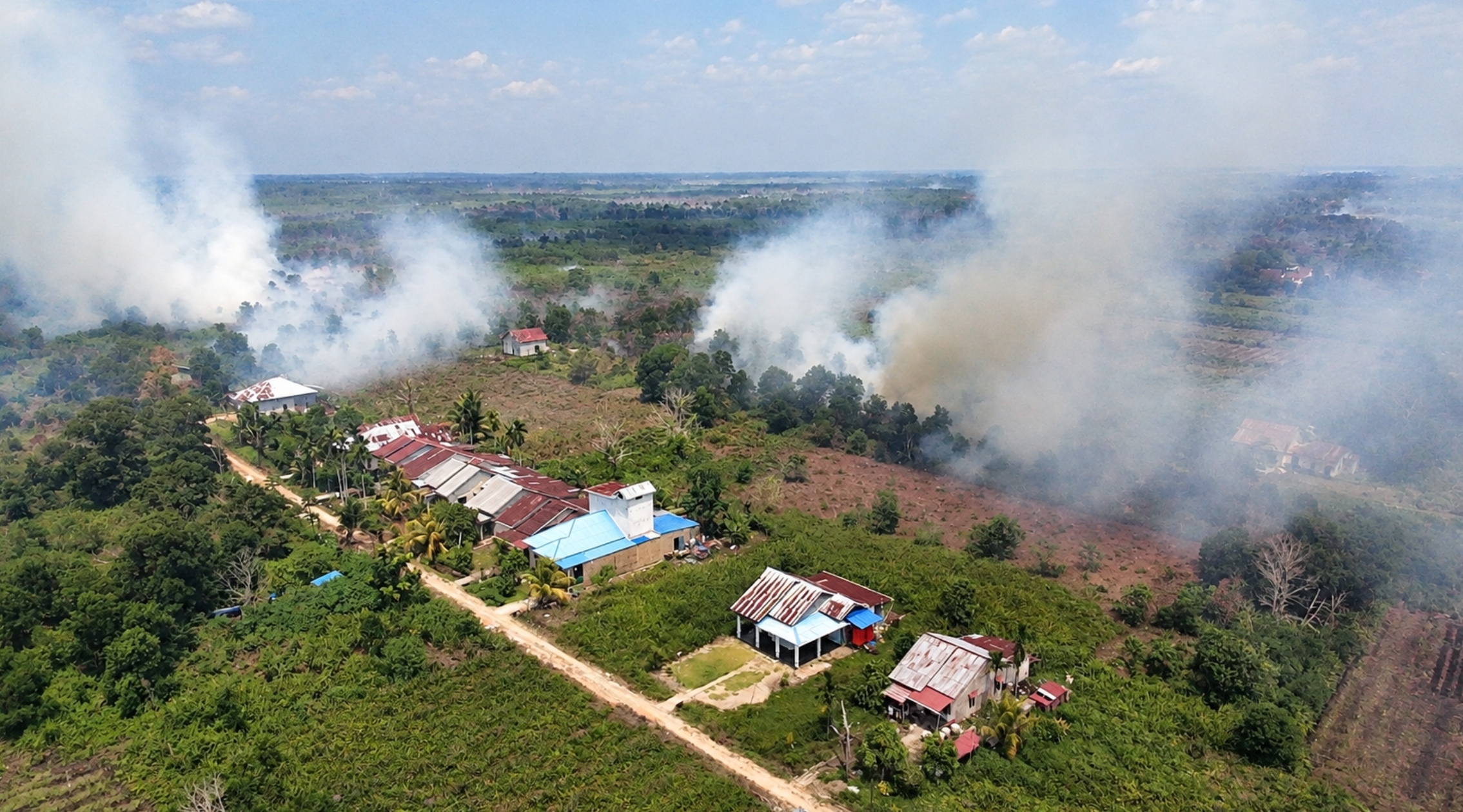 Kebakaran Hutan dan Lahan 2026 Ancam Target FOLU Net Sink Indonesia