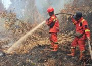 Karhutla Gambut Bengkalis Meluas, Tim Gabungan Padamkan 3,3 Hektare di Teluk Lancar