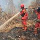 Karhutla Gambut Bengkalis Meluas, Tim Gabungan Padamkan 3,3 Hektare di Teluk Lancar