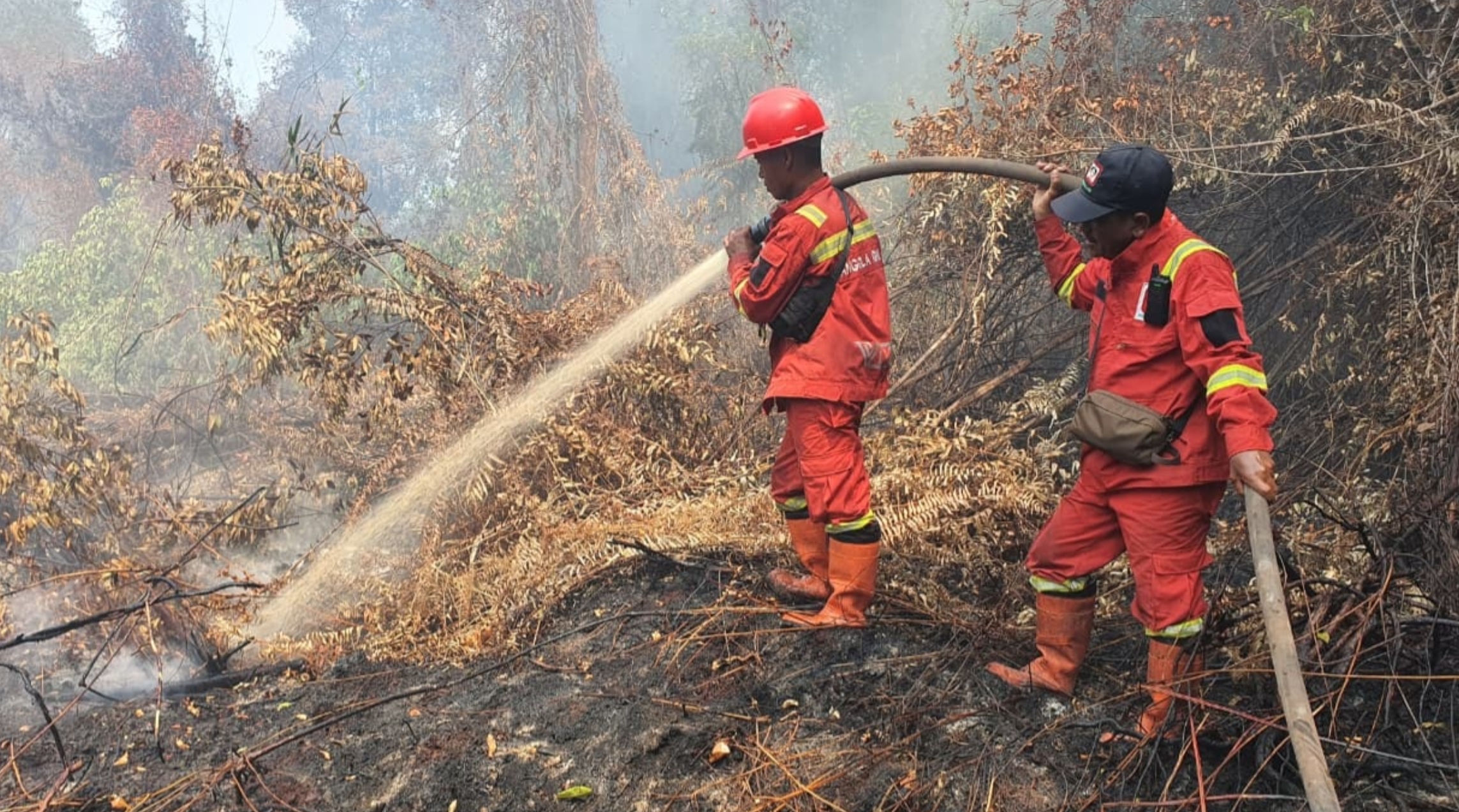 Kebakaran Hutan dan Lahan di Bengkalis, 3,3 Hektare Berhasil Dipadamkan