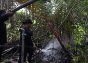 Brimob Polda Riau Padamkan Kebakaran Hutan dan Lahan di Dayun Siak untuk Cegah Kerusakan Ekologis