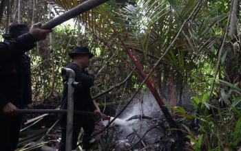 Kebakaran Hutan dan Lahan di Dayun Siak Dipadamkan Brimob Polda Riau