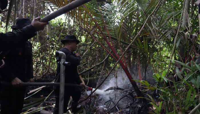 Brimob Polda Riau Padamkan Kebakaran Hutan dan Lahan di Dayun Siak untuk Cegah Kerusakan Ekologis