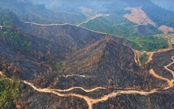 Pantau Bekas Karhutla Riau dari Udara, Satgas Lanud Rsn Sisir Medan Sulit Kampar