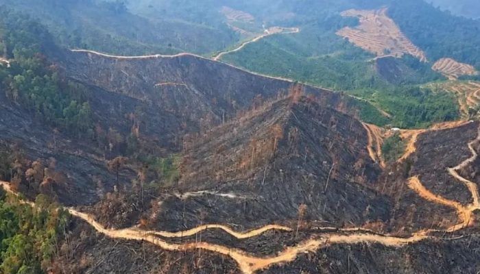 Pantau Bekas Karhutla Riau dari Udara, Satgas Lanud Rsn Sisir Medan Sulit Kampar