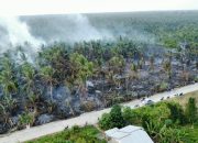 Tim Gabungan Berjibaku Padamkan Kebakaran Kebun Kelapa di Inhil