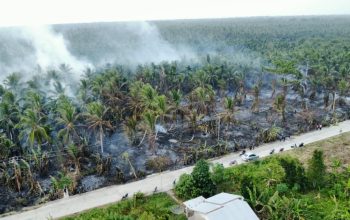 Tim Gabungan Berjibaku Padamkan Kebakaran Kebun Kelapa di Inhil