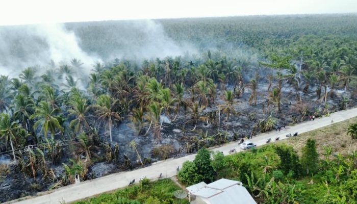 Tim Gabungan Berjibaku Padamkan Kebakaran Kebun Kelapa di Inhil