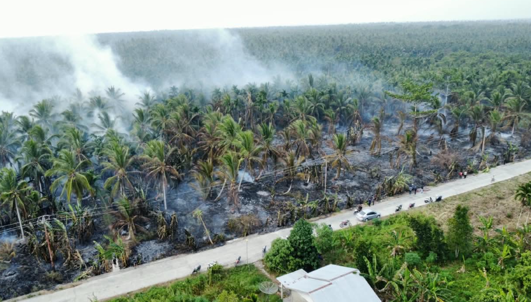 Tim Gabungan Padamkan Kebakaran Lahan Gambut di Indragiri Hilir