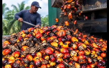 Dinas Perkebunan Riau Salurkan Rp1,9 Triliun untuk Program Peremajaan Sawit Rakyat di Berbagai Wilayah